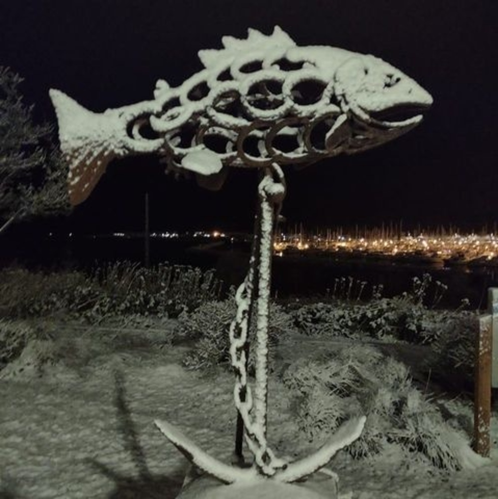 Meet your Posher, Jesse